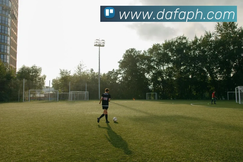 大发娱乐发展历程